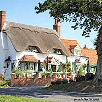Crab & Boar Inn Newbury (Berkshire)